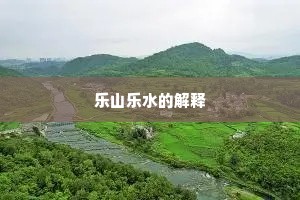 乐山乐水的解释