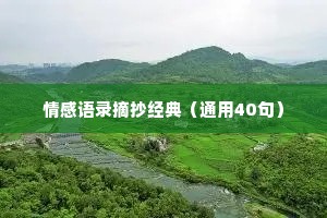 情感语录摘抄经典（通用40句）