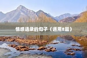 情感语录的句子（通用8篇）