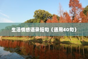 生活情感语录短句（通用40句）