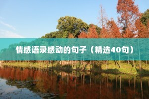 情感语录感动的句子（精选40句）