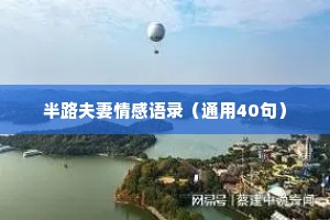 半路夫妻情感语录（通用40句）
