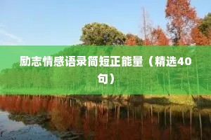 励志情感语录简短正能量（精选40句）