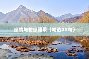 感情与情感语录（精选40句）