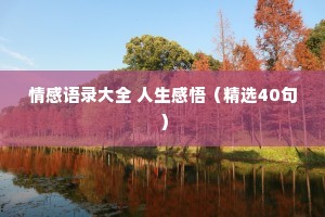 情感语录大全 人生感悟（精选40句）