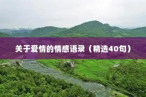 关于爱情的情感语录（精选40句）