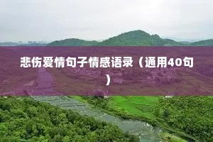 悲伤爱情句子情感语录（通用40句）