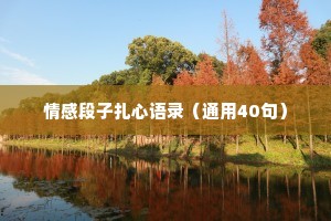 情感段子扎心语录（通用40句）
