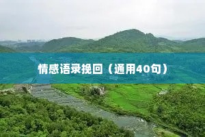 情感语录挽回（通用40句）