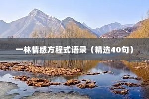 一林情感方程式语录（精选40句）