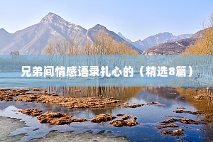 兄弟间情感语录扎心的（精选8篇）