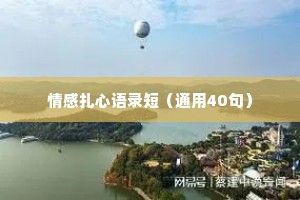 情感扎心语录短（通用40句）