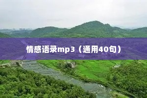 情感语录mp3（通用40句）