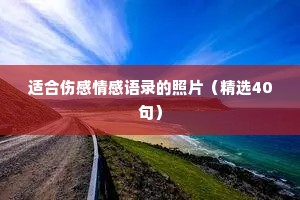 适合伤感情感语录的照片（精选40句）