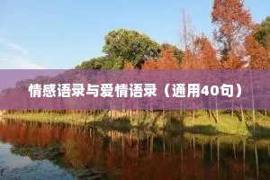 情感语录与爱情语录（通用40句）