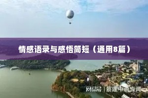 情感语录与感悟简短（通用8篇）