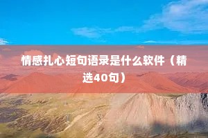 情感扎心短句语录是什么软件（精选40句）