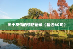 关于友情的情感语录（精选60句）