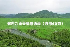 傲世九重天情感语录（通用60句）