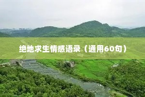 绝地求生情感语录（通用60句）