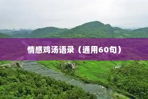 情感鸡汤语录（通用60句）