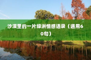 沙漠里的一片绿洲情感语录（通用60句）