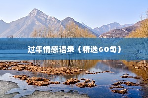 过年情感语录（精选60句）