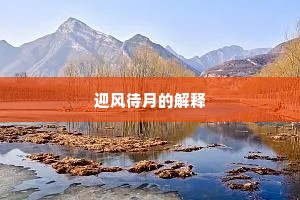迎风待月的解释