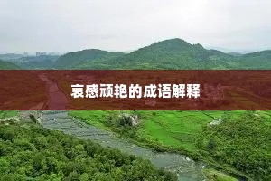 哀感顽艳的成语解释