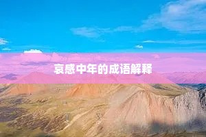 哀感中年的成语解释