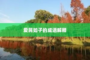 爱民如子的成语解释