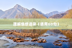 理解情感语录（通用60句）