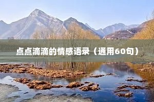 点点滴滴的情感语录（通用60句）