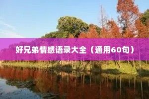 好兄弟情感语录大全（通用60句）