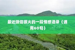 最近微信很火的一段情感语录（通用60句）