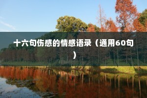 十六句伤感的情感语录（通用60句）