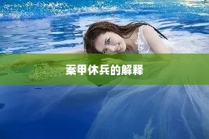 案甲休兵的解释