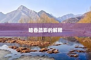 暗香疏影的解释
