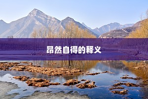 昂然自得的释义