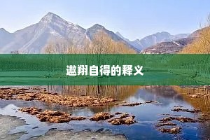 遨翔自得的释义