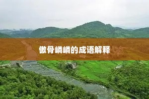 傲骨嶙嶙的成语解释
