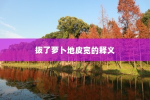 拔了萝卜地皮宽的释义