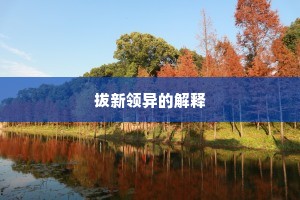 拔新领异的解释