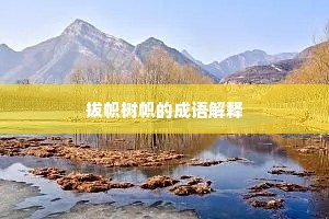 拔帜树帜的成语解释