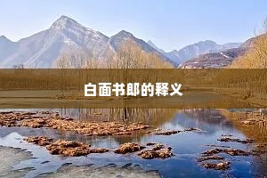 白面书郎的释义