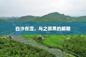 白沙在涅，与之俱黑的解释