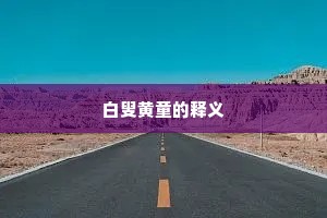 白叟黄童的释义