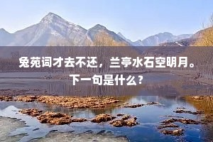 乞灵激懦衷，剸决刚同鍊。上一句是什么？