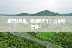 朝来不成寐，啼鸟绕西东。的解释