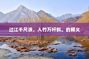 明朝解缆还千里，今日看花更一杯。的解释